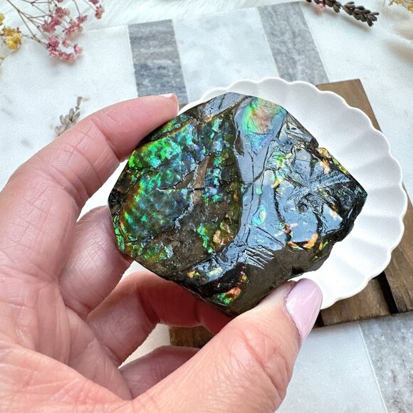 MM&H Designs Other - Gorgeous Canadian Ammolite Specimen